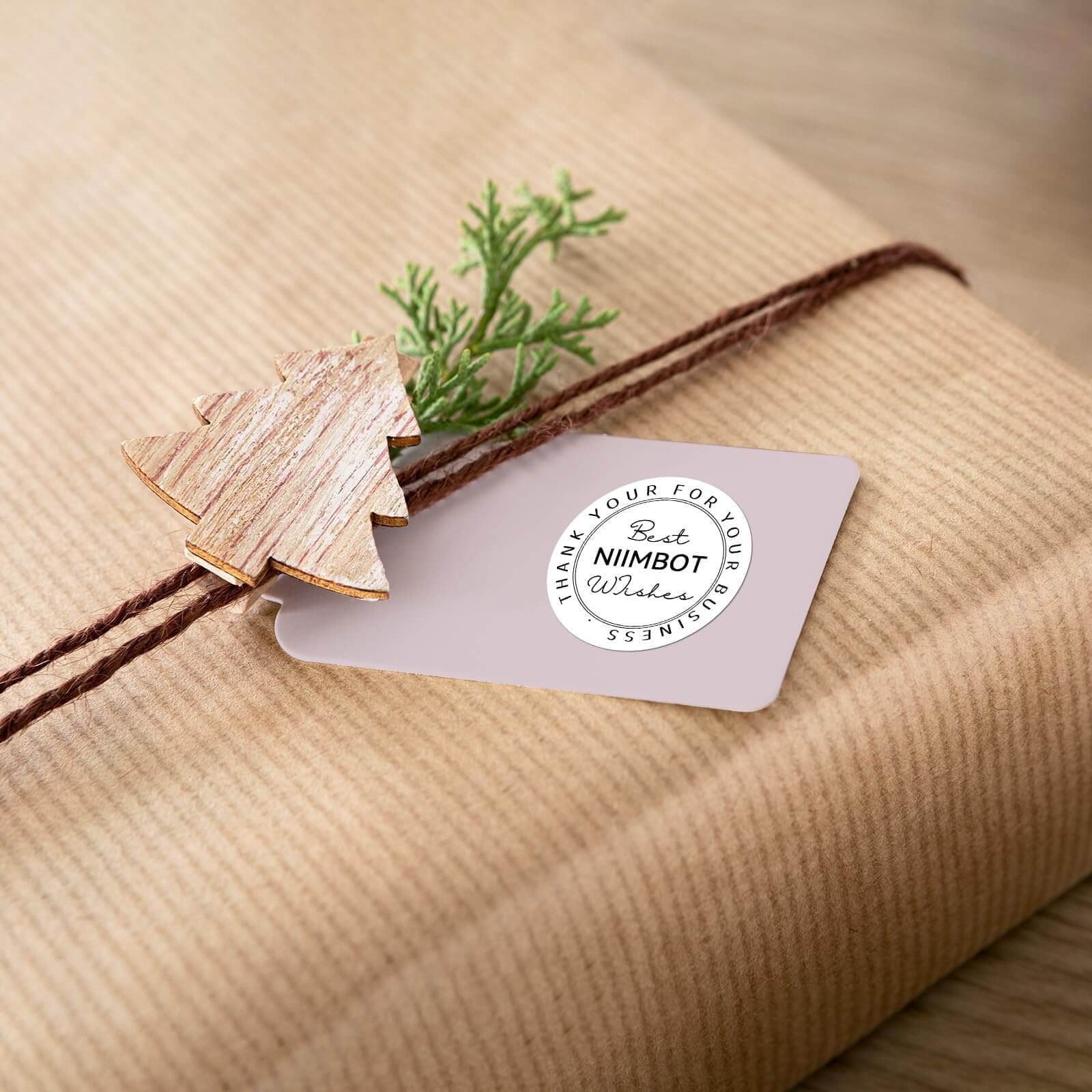 NIIMBOT Round Label Tape for B21, B1, B3S-5