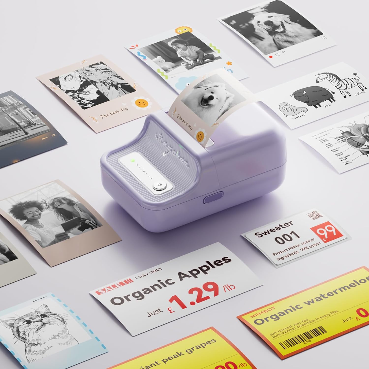 NIIMBOT B21 Pro Label Maker Machine, 2 Inch Bluetooth Mini Thermal Printer Compatible with Android and iOS, Sticker Maker for Crafts, Printing Photos-8