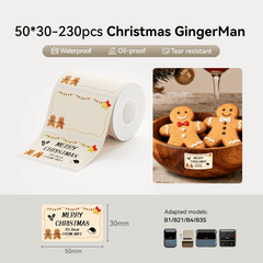 NIIMBOT Seasonal Label for B21, B1, B3S-13