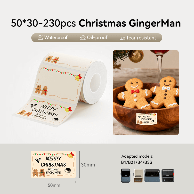 NIIMBOT Seasonal Label for B21, B1, B3S-13