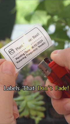 NIIMBOT M2 Label Maker with Tape 2Inch Thermal Transfer Support Color Ribbon Printing Bluetooth Sticker Printer-3